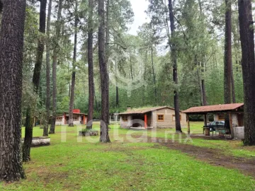 Terreno en venta en Sin colonia, San Salvador El Verde, Puebla