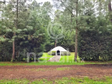 Terreno en venta en Sin colonia, San Salvador El Verde, Puebla