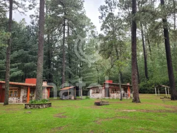 Terreno en venta en Sin colonia, San Salvador El Verde, Puebla