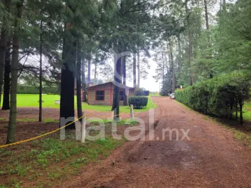 Terreno en venta en Sin colonia, San Salvador El Verde, Puebla
