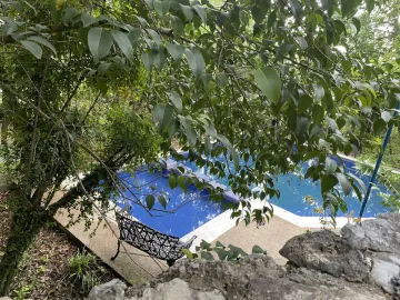 Casa en renta en Valle de San Angel, San Pedro Garza García, Nuevo León