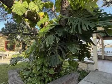 Casa en venta en Huinala, Apodaca, Nuevo León