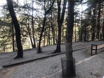 **OPORTUNIDAD** HERMOSO DEPARTAMENTO CON 1 BALCÓN  Y LINDOS ACABADOS