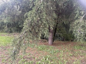 **OPORTUNIDAD** TERRENO SOBRE LAS ÁGUILAS