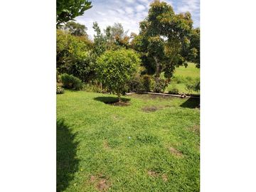 Venta casa campestre en Pontezuela con casa de huéspedes