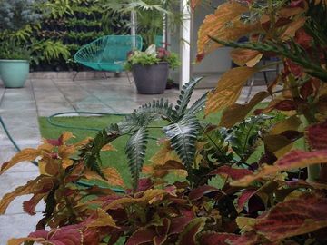 HERMOSO GARDEN EN CALLE SAN FELIPE 85