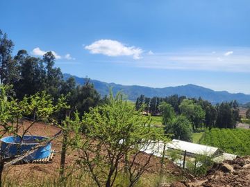 LOS NICHES