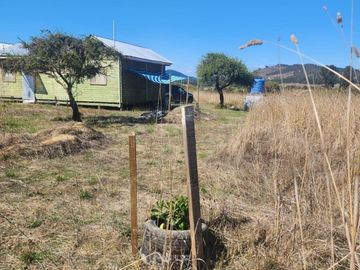 LLICO - BOYERUCA  COMUNA DE VICHUQUEN