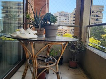 COLON CON VESPUCIO