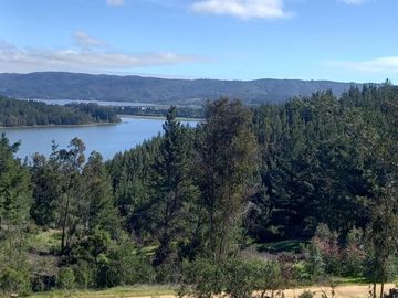 LAGO VICHUQUEN - LLICO