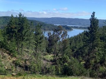 LAGO VICHUQUEN - LLICO