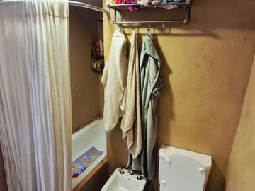 CÁLIDO PH, CON ALMA BOHO E IMPRONTA URBAN JUNGLE