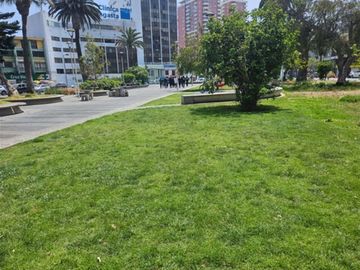 Departamento en Venta en Manuel Verbal - General Velásquez