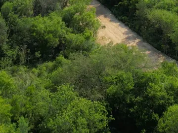 Terreno residencial en venta en Montemorelos