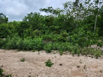 SE VENDEN TERRENOS 1 HECTAREA AVENIDA 135 CANCUN