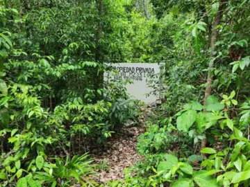 SE VENDEN TERRENOS 1 HECTAREA AVENIDA 135 CANCUN