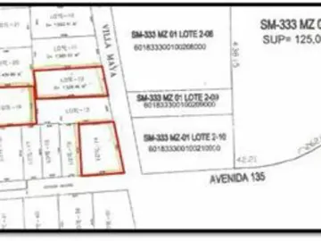 SE VENDEN TERRENOS 1 HECTAREA AVENIDA 135 CANCUN