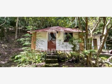 Terreno en venta en El Texme, Tenango de Doria, Hidalgo