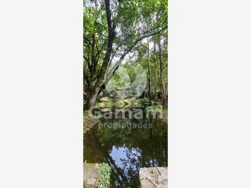 Terreno en venta en El Texme, Tenango de Doria, Hidalgo
