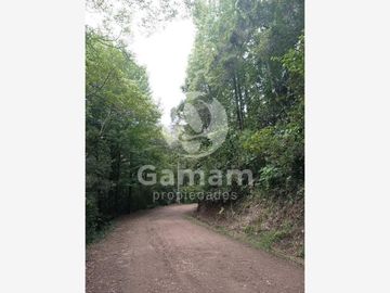 Terreno en venta en El Texme, Tenango de Doria, Hidalgo