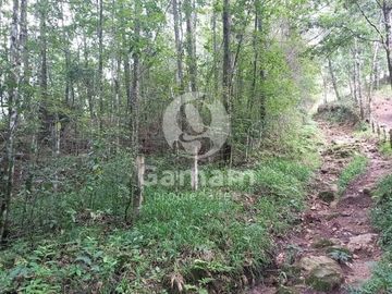 Terreno en venta en El Texme, Tenango de Doria, Hidalgo