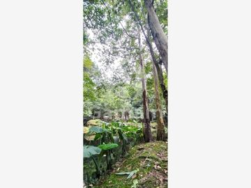 Terreno en venta en El Texme, Tenango de Doria, Hidalgo