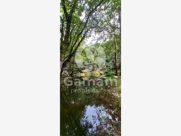 Terreno en venta en El Texme, Tenango de Doria, Hidalgo