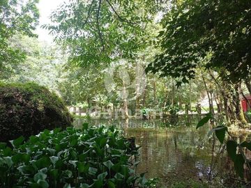 Terreno en venta en El Texme, Tenango de Doria, Hidalgo