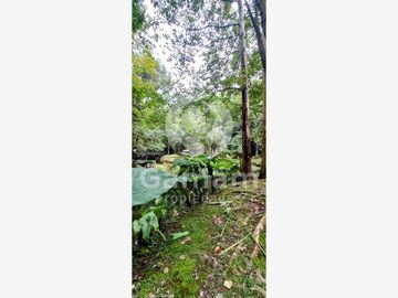 Terreno en venta en El Texme, Tenango de Doria, Hidalgo