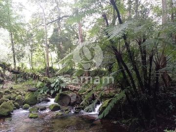 Terreno en venta en El Texme, Tenango de Doria, Hidalgo