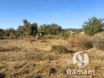 Terreno en venta en Zempoala Centro, Zempoala, Hidalgo