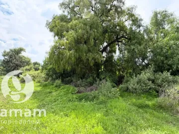 Terreno en venta en Guadalupe Relinas, Axapusco, México