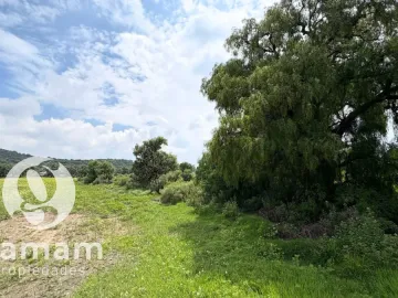 Terreno en venta en Guadalupe Relinas, Axapusco, México