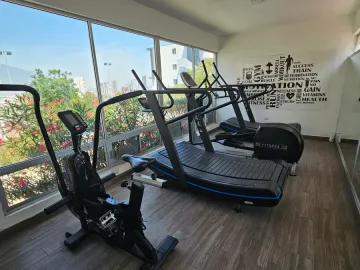 Departamento en renta en Pedregal la Huasteca, Santa Catarina, Nuevo León