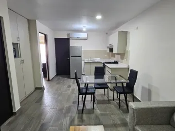 Departamento en renta en Pedregal la Huasteca, Santa Catarina, Nuevo León