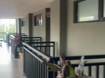 Oficina en renta en Centro, Monterrey, Nuevo León