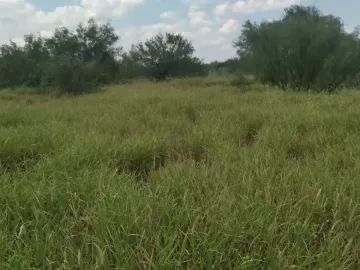 Finca-Rancho en venta en Mier Centro, Mier, Tamaulipas