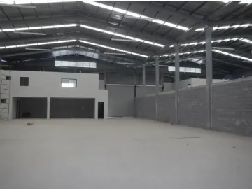 Bodega en renta en El Milagro, Apodaca, Nuevo León