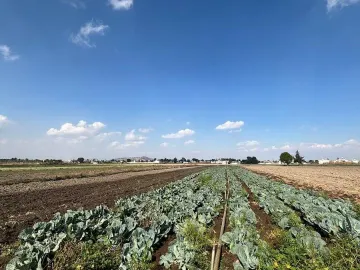 Terreno en venta en San Gregorio Atzompa, San Gregorio Atzompa, Puebla