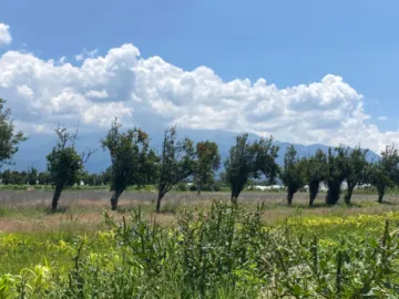 Terreno en venta en San Matias Atzala, San Felipe Teotlalcingo, Puebla