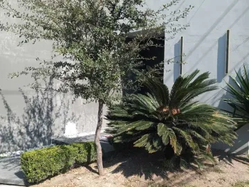 Oficina en renta en Las Torres, Monterrey, Nuevo León