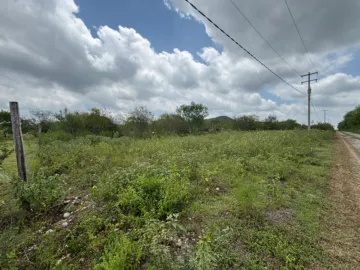 Terreno en venta en Padre Mier, Montemorelos, Nuevo León
