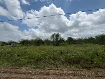 Terreno en venta en Padre Mier, Montemorelos, Nuevo León