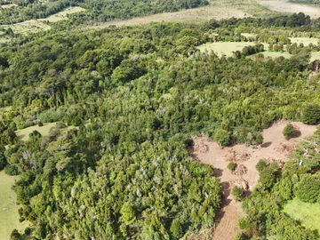 PARCELAS EN VENTA EN ISLA LEMUY, CHILOÉ | DOCUMENTACIÓN AL DÍA | LISTAS PARA COMPRAR