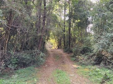 PARCELAS EN VENTA EN ISLA LEMUY, CHILOÉ | DOCUMENTACIÓN AL DÍA | LISTAS PARA COMPRAR