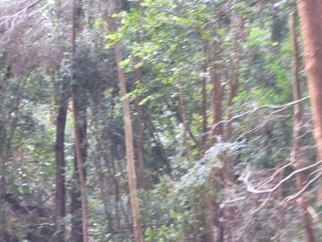 PARCELAS EN VENTA EN ISLA LEMUY, CHILOÉ | DOCUMENTACIÓN AL DÍA | LISTAS PARA COMPRAR
