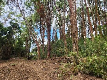 PARCELAS EN VENTA EN ISLA LEMUY, CHILOÉ | DOCUMENTACIÓN AL DÍA | LISTAS PARA COMPRAR