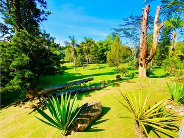 Casa Para Arriendo Amoblada en Llanogrande Pontezuela