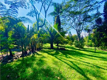 Casa Para Arriendo Amoblada en Llanogrande Pontezuela