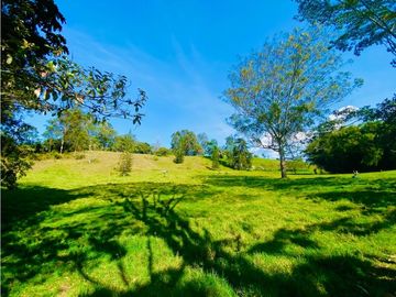 Casa Para Arriendo Amoblada en Llanogrande Pontezuela